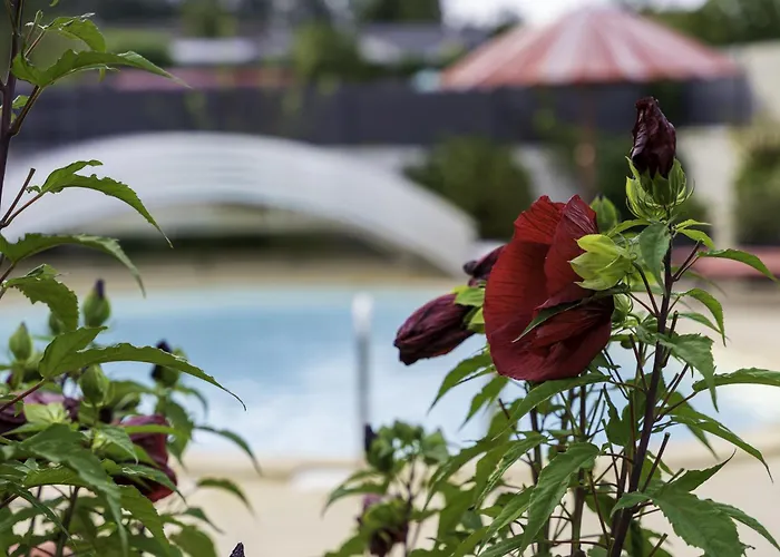 Bed & Breakfast La Enchantee La Baffe